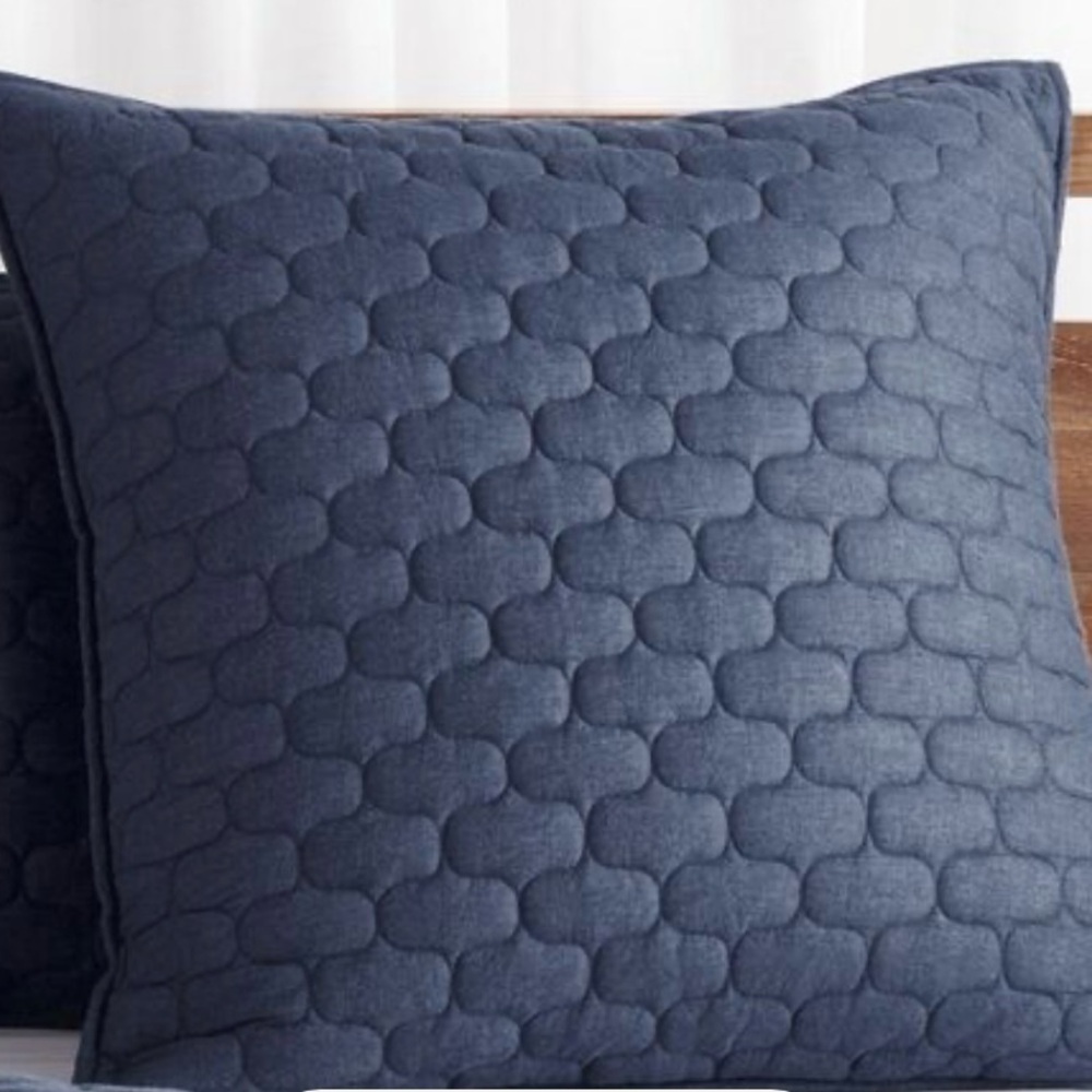 Crate & Barrel New in Package Fontaine Blue Euro Sham